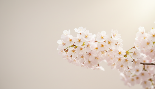 姪っ子・甥っ子の入学祝い｜叔父・叔母が贈る際の金額相場、喜ばれるギフト選びの完全ガイド